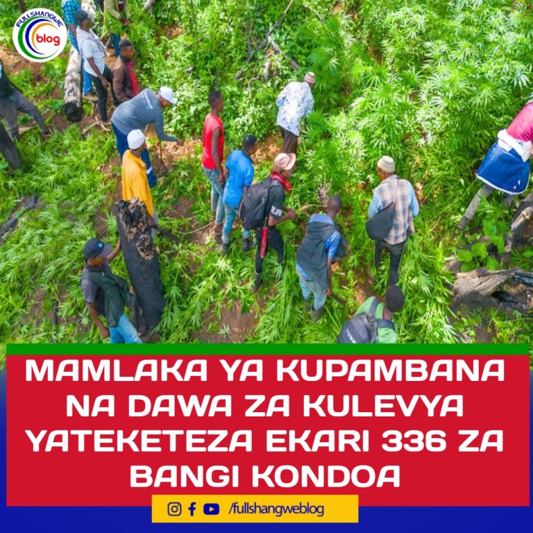MAMLAKA YA KUPAMBANA NA DAWA ZA KULEVYA YATEKETEZA EKARI 336 ZA BANGI KONDOA