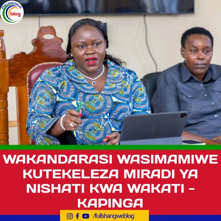 WAKANDARASI WASIMAMIWE KUTEKELEZA MIRADI YA NISHATI KWA WAKATI – KAPINGA