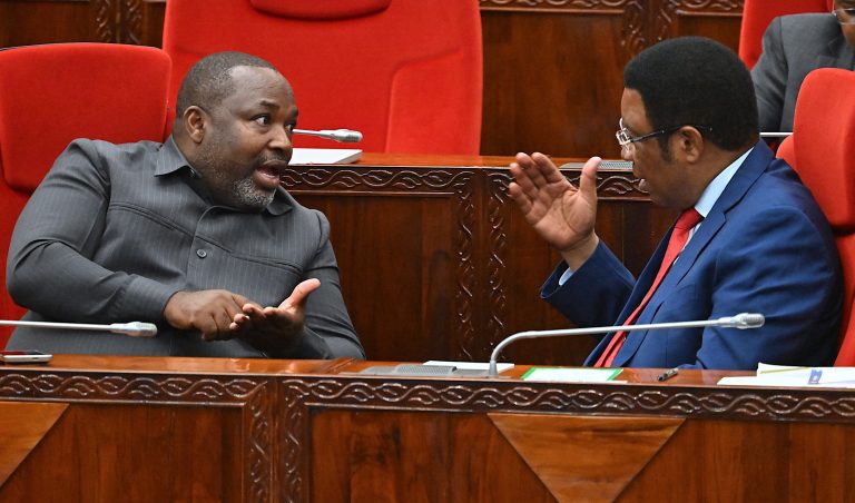 MATUKIO KATIKA PICHA WAZIRI MKUU AKIWA BUNGENI DODOMA