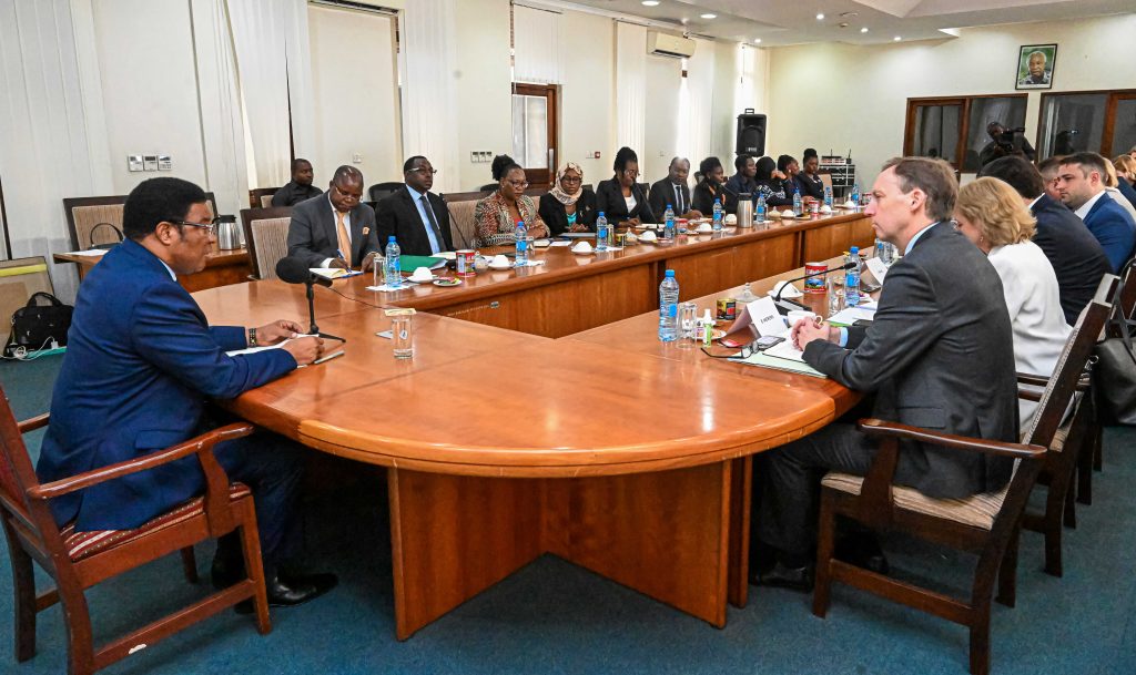 WAZIRI MKUU AKUTANA NA UJUMBE WA WABUNGE WA BUNGE LA ULAYA KUTOKA KAMATI YA USHIRIKIANO NA MAENDELEO