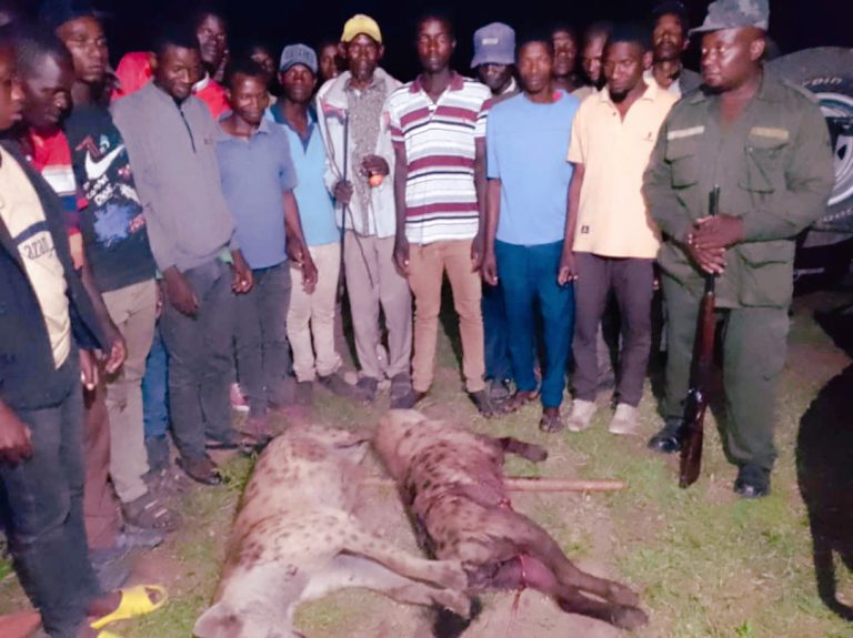 JESHI LA UHIFADHI LATIA NANGA ITILIMA KUDHIBITI WANYAMA FISI