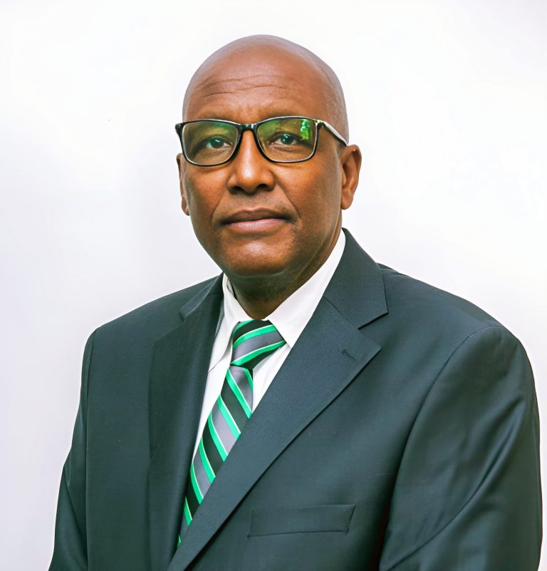 SERIKALI YAIMARISHA UWEZESHAJI WA WACHIMBAJI WADOGO NCHINI – DKT. KIRUSWA