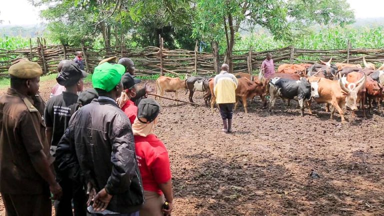 TIMU YA WANASHERIA WA SAMIA YATOA ELIMU YA KISHERIA KWA WANANCHI WA MANISPAA YA MPANDA