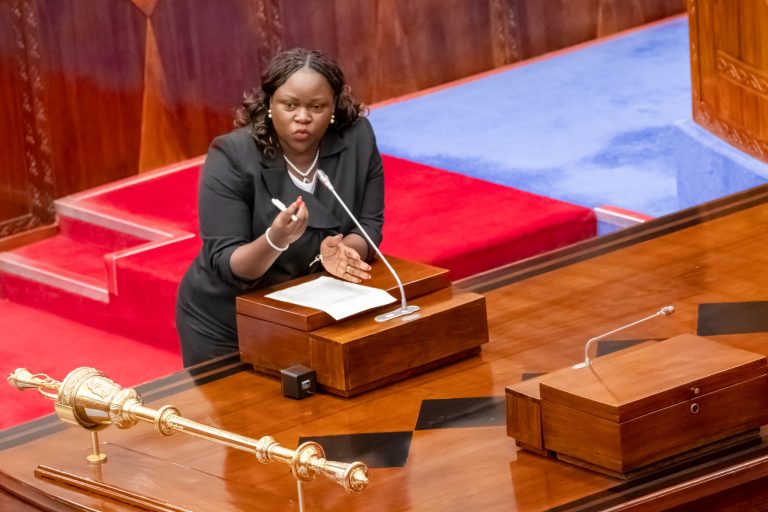 WANANCHI WATAKIWA KUTUMIA FURSA YA MIRADI KUUNGANISHA UMEME – MHE. KAPINGA