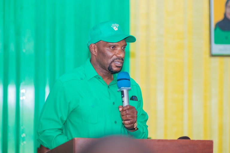 MNEC HAMOUD AWAHIMIZA WANA CCM KUTOMWANGUSHA KWA KURA RAIS DKT. SAMIA UCHAGUZI WA 2025