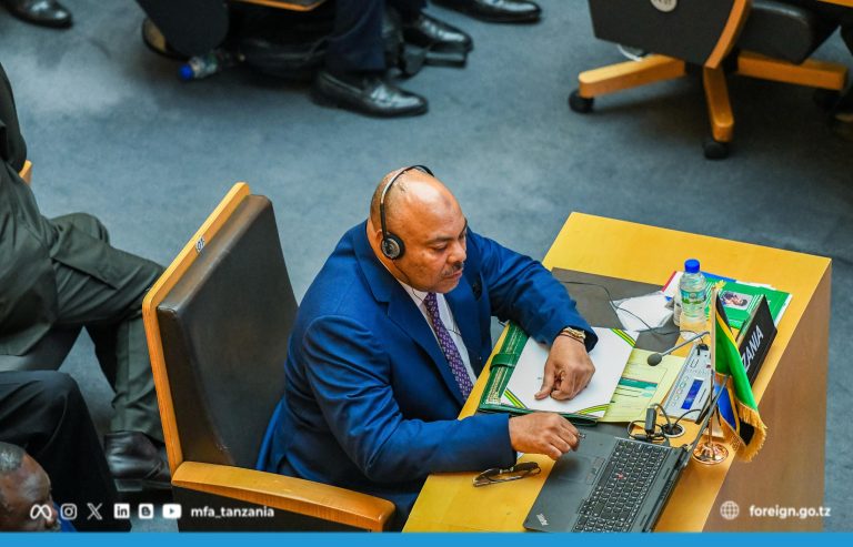 TANZANIA YASISITIZA UWAJIBIKAJI KWA TAASISI ZA UMOJA WA AFRIKA