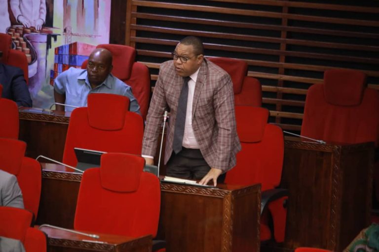 MTATURU AENDELEA KUWAPIGANIA WACHIMBAJI WADOGO WA MADINI JIMBO LA SINGIDA MASHARIKI.