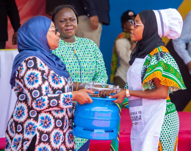RAIS SAMIA AITAKA REA KUUPA KIPAUMBELE MKAKATI WA NISHATI SAFI YA KUPIKIA