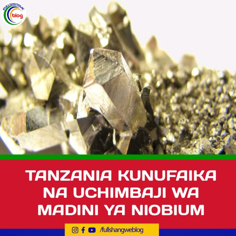 TANZANIA KUNUFAIKA NA UCHIMBAJI WA MADINI YA NIOBIUM