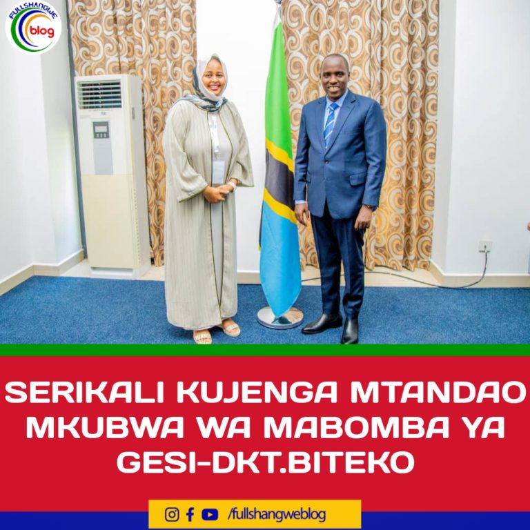 SERIKALI KUJENGA MTANDAO MKUBWA WA MABOMBA YA GESI-DKT.BITEKO