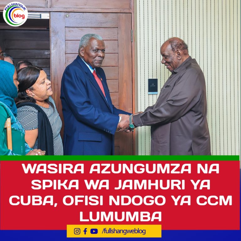 WASIRA AZUNGUMZA NA SPIKA WA JAMHURI YA CUBA, OFISI NDOGO YA CCM LUMUMBA