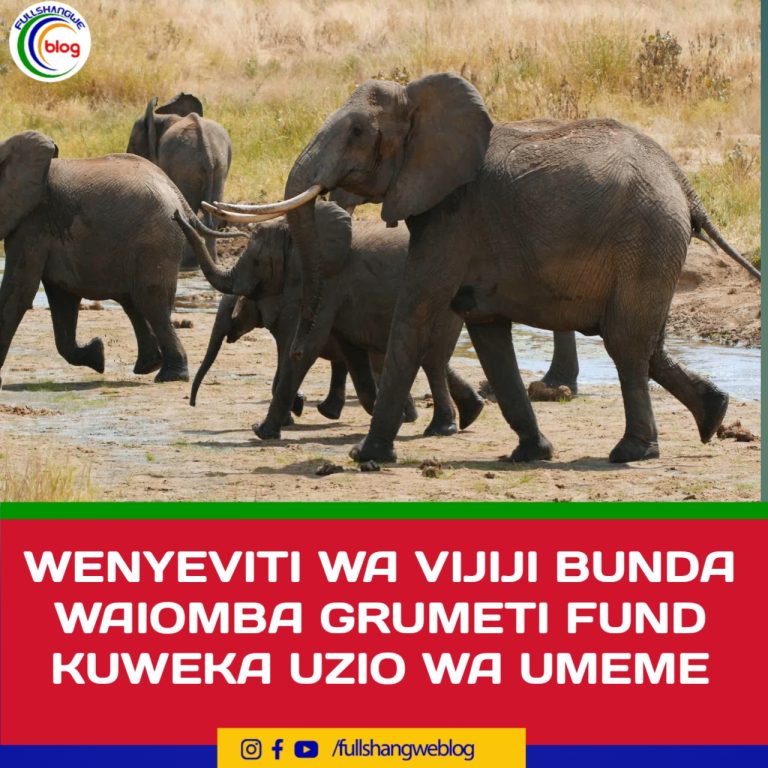 WENYEVITI WA VIJIJI BUNDA WAIOMBA GRUMETI FUND KUWEKA UZIO WA UMEME