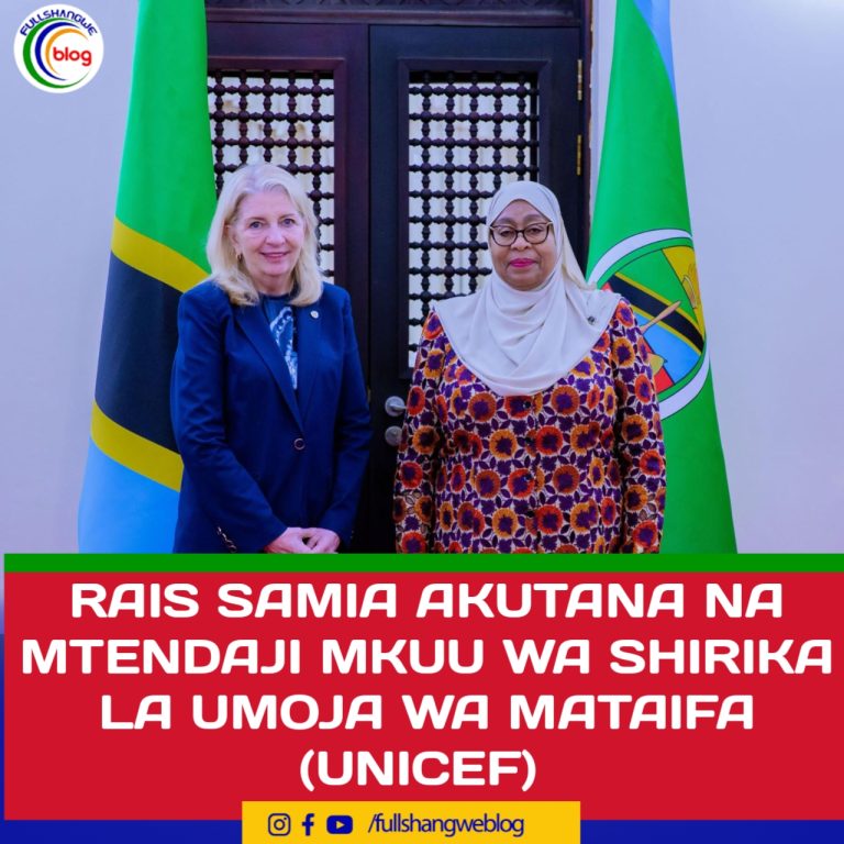 RAIS SAMIA AKUTANA NA MTENDAJI MKUU WA SHIRIKA LA UMOJA WA MATAIFA (UNICEF)