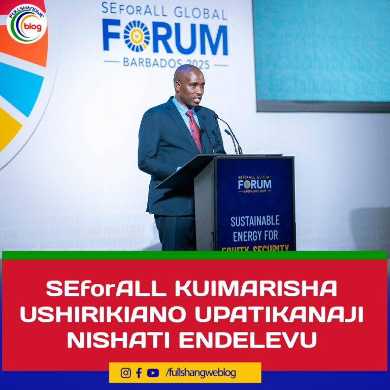SEforALL KUIMARISHA USHIRIKIANO UPATIKANAJI NISHATI ENDELEVU