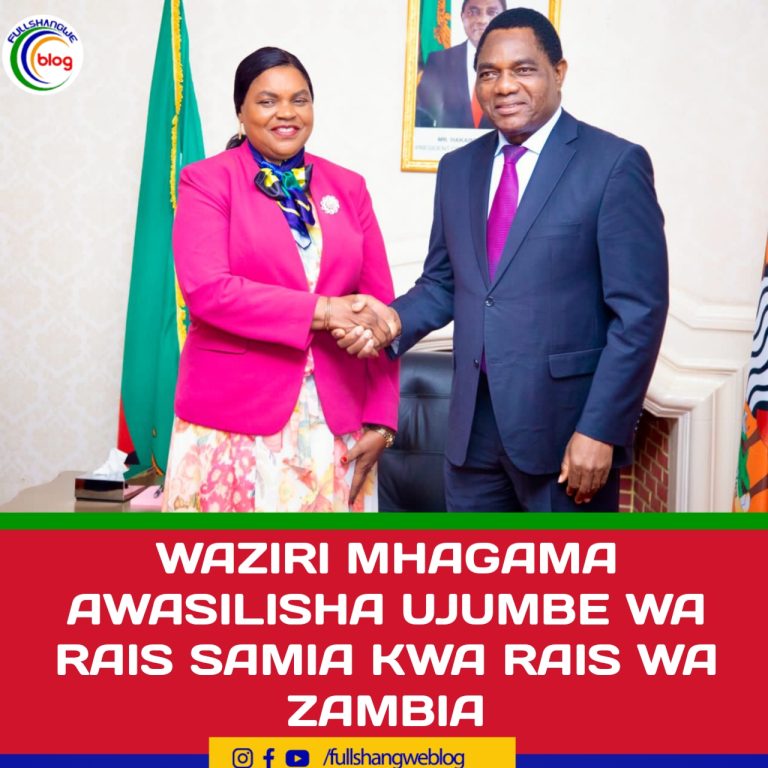 WAZIRI MHAGAMA AWASILISHA UJUMBE WA RAIS SAMIA KWA RAIS WA ZAMBIA