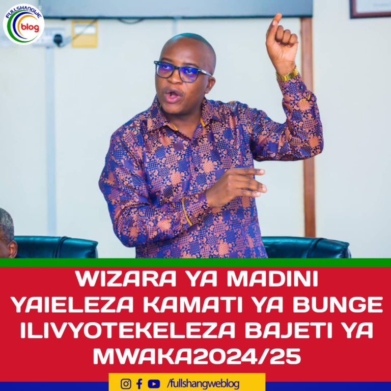 WIZARA YA MADINI YAIELEZA KAMATI YA BUNGE ILIVYOTEKELEZA BAJETI YA MWAKA2024/25