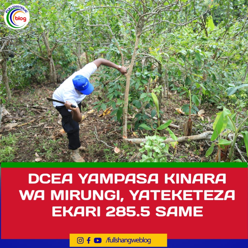 DCEA YAMPASA KINARA WA MIRUNGI, YATEKELEZE EKARI 285.5 SAME