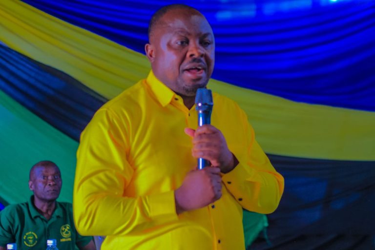 SERIKALI MBIONI KUANZA UJENZI DARAJA LA ILEMBO MKOANI RUKWA