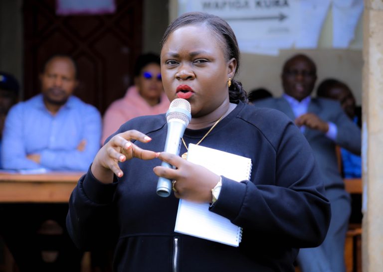 NI MAONO YA DKT.SAMIA WANANCHI WOTE WAPATE UMEME – KAPINGA