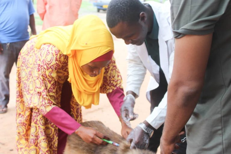 KIBAHA DC YAZINDUA RASMI KAMPENI YA MPANGO WA KUTOKOMEZA KICHAA CHA MBWA