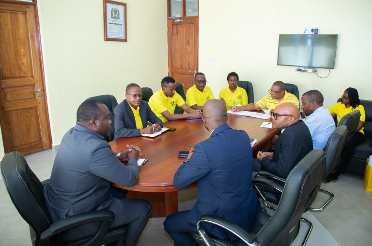 KATIBU TAWALA UBUNGO: MALALAMIKO YA KODI KWA SASA YAMEPUNGUA