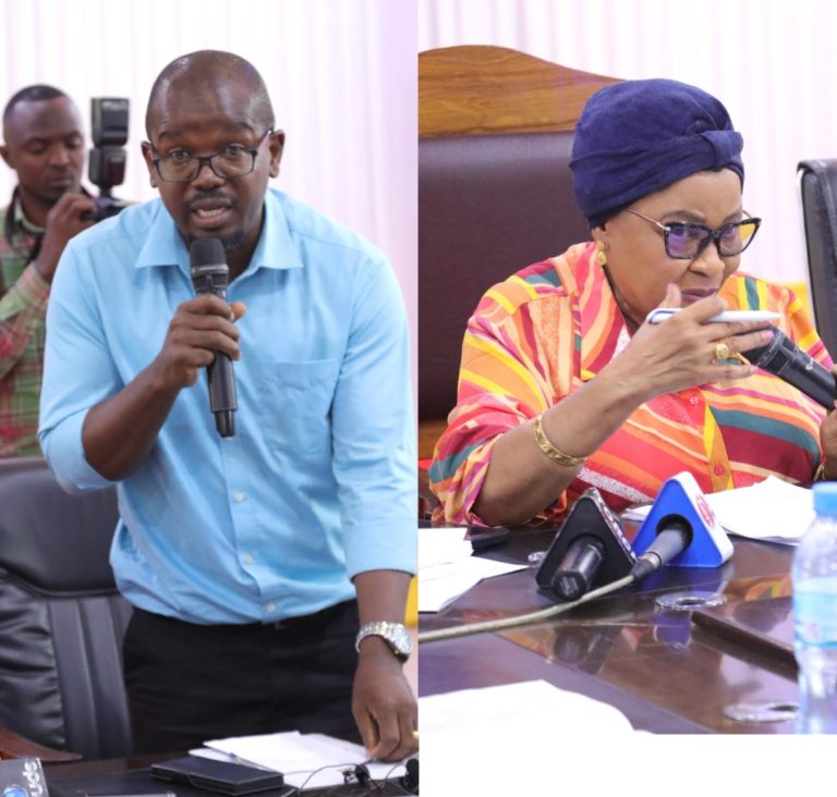 PAC YAISHAURI TEMESA KUONGEZA KASI YA USIMAMIZI MRADI WA KIVUKO KIPYA MAFIA NYAMISATI