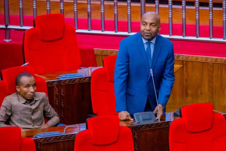 SERIKALI YAPAMBANIA FURSA ZA BIASHARA YA KABONI