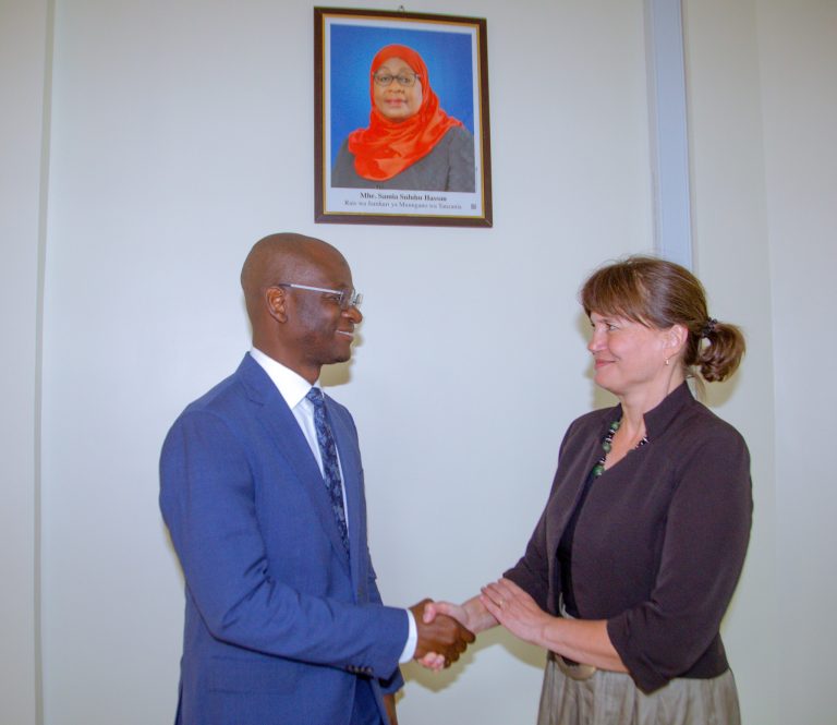 TANZANIA NA CZECH WAJADILI KUSAINI MKATABA WA KUONDOA UTOZAJI KODI MARA MBILI