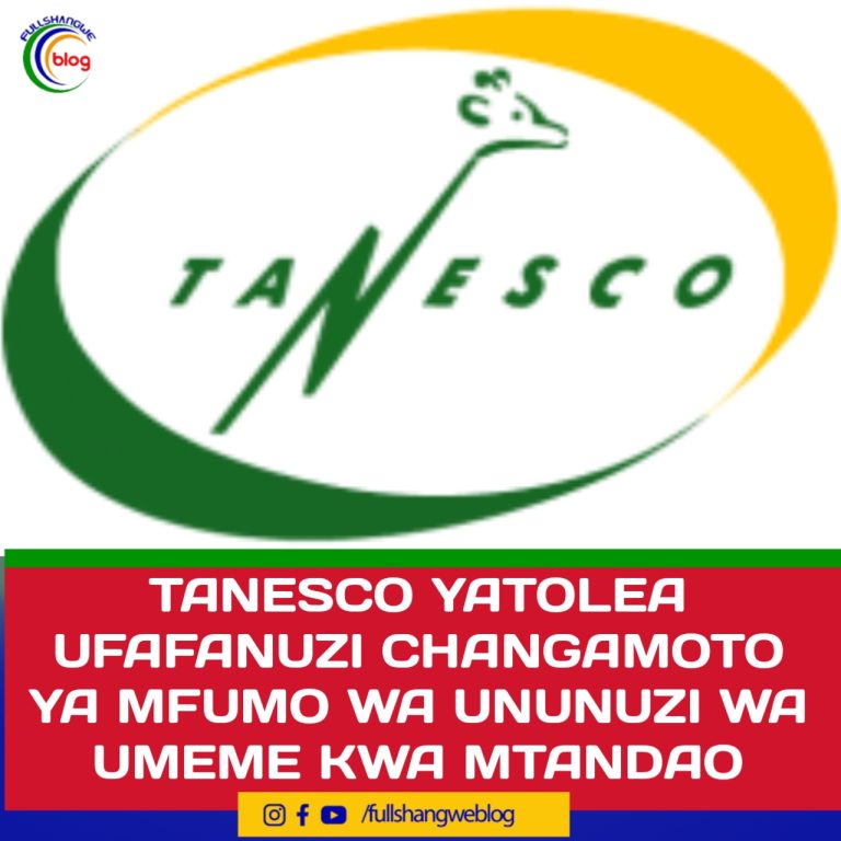 TANESCO YATOLEA UFAFANUZI CHANGAMOTO YA MFUMO WA UNUNUZI WA UMEME KWA MTANDAO