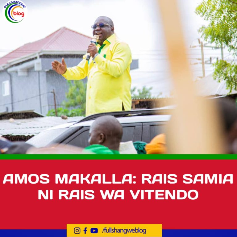 AMOS MAKALLA: RAIS SAMIA NI RAIS WA VITENDO