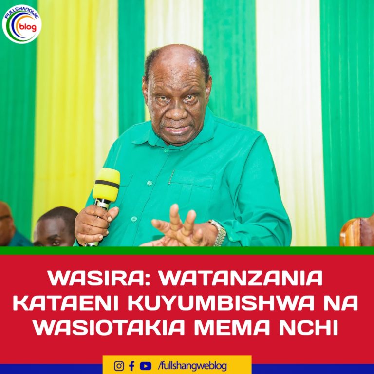 WASIRA: WATANZANIA KATAENI KUYUMBISHWA NA WASIOTAKIA MEMA NCHI