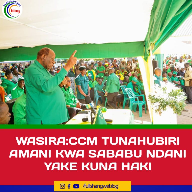 WASIRA:CCM TUNAHUBIRI AMANI KWA SABABU NDANI YAKE KUNA HAKI.