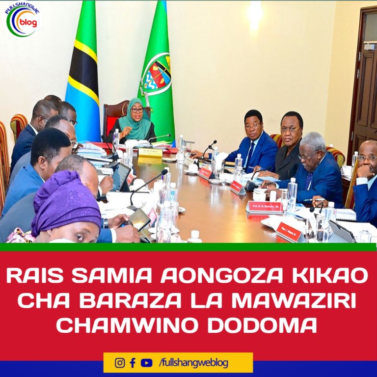 RAIS SAMIA AONGOZA KIKAO CHA BARAZA LA MAWAZIRI CHAMWINO DODOMA