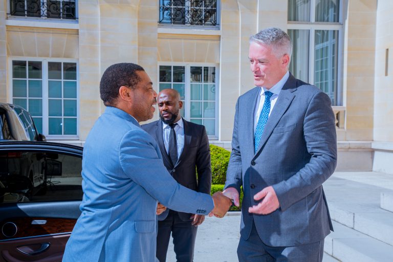 DKT. NCHEMBA NA SHIRIKA LA OECD LA UFARANSA WAZUNGUMZIA SERA ZA KODI NA UWEKEZAJI UFARANSA