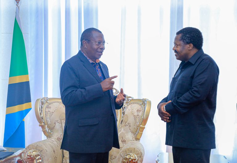 MAKAMU WA RAIS AKIZUNGUMZA NA BALOZI NCHIMBI MARA BAADA YA KUWASILI NCHINI