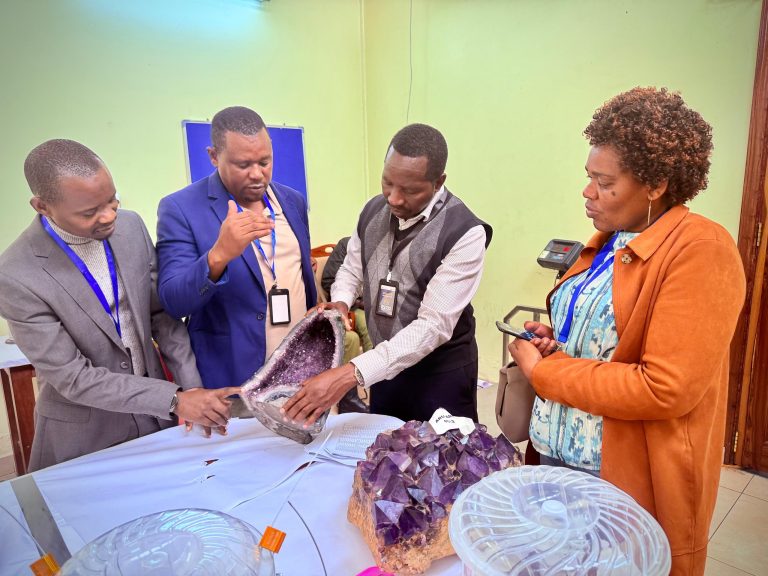 WADAU WA MADINI WAENDELEA KUNUFAIKA NA MNADA WA MADINI ARUSHA