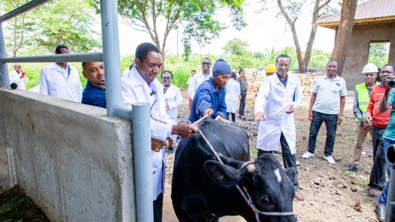 NELSON MANDELA YAZINDUA KITUO CHA MAFUNZO NA UTAFITI WA TEKNOLOJIA ZA UFUGAJI WA KISASA