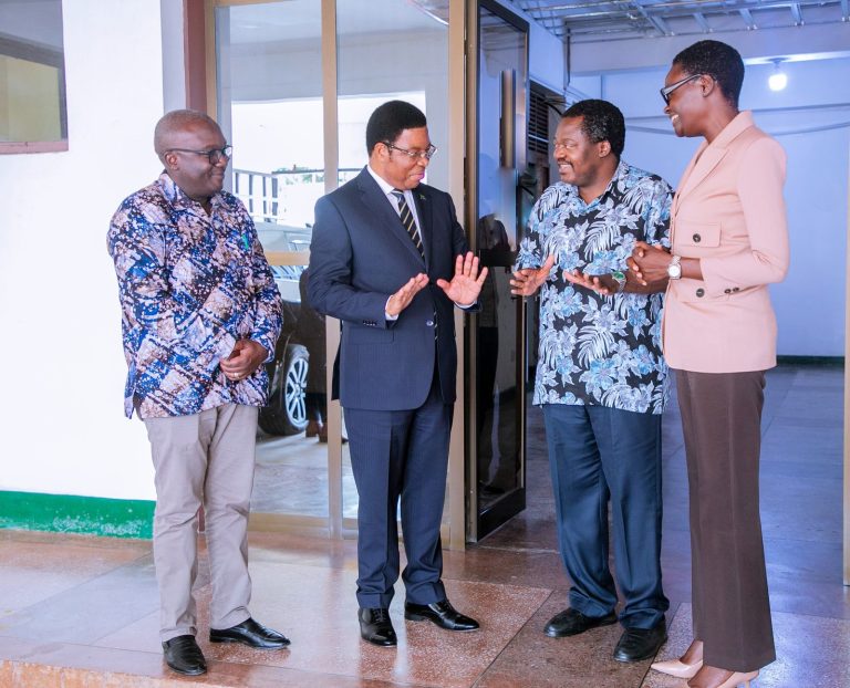 BALOZI NCHIMBI AKUTANA NA MWENYEKITI WA WABUNGE WA CCM, SPIKA WA BUNGE