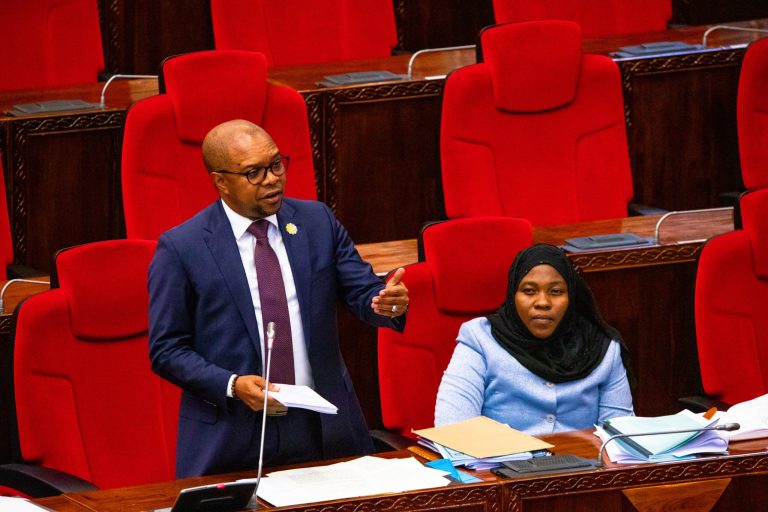 WAZIRI KIKWETE: MFUMO MPYA KUWEZESHA WATANZANIA KUPATA FURSA ZA AJIRA NJE YA NCHI