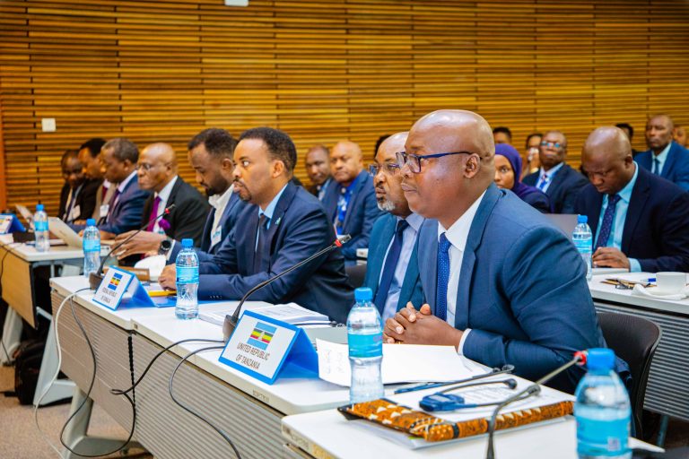 MKUTANO WA 47 WA BARAZA LA MAWAZIRI LA JUMUIYA YA AFRIKA WAFANYIKA JIJINI ARUSHA