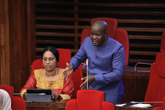 NDAISABA AIOMBA SERIKALI KUTOA SULUHU YA UMEME VIJIJINI, APONGEZA JUHUDI ZA RAIS SAMIA