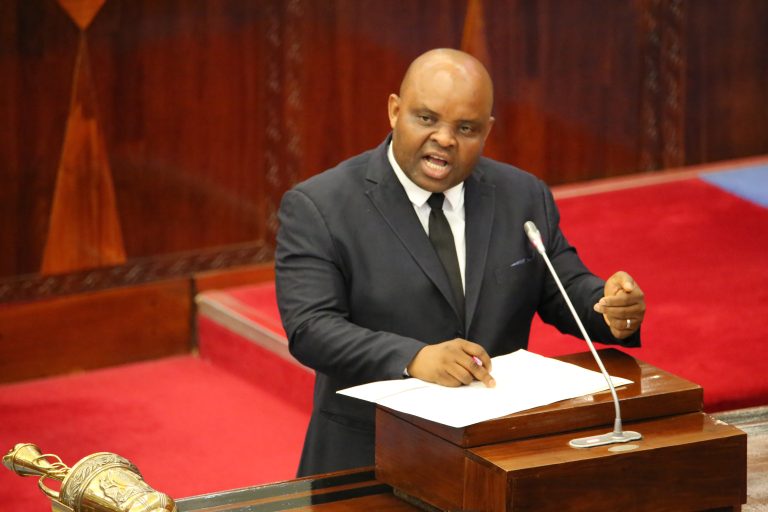 MCHAKATO WA NEMC KUWA MAMLAKA WAENDELEA