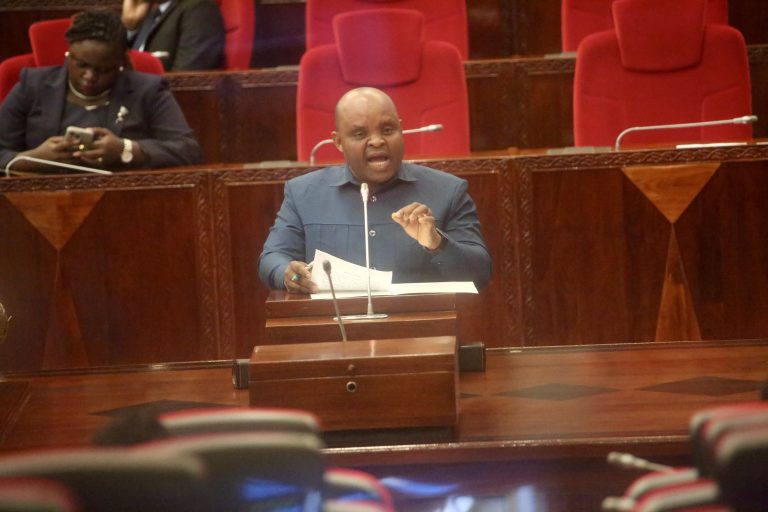 NAIBU WAZIRI KHAMIS ATAKA WANANCHI KUACHA SHUGHULI ZINAZOCHANGIA UHARIBIFU WA MAZINGIRA