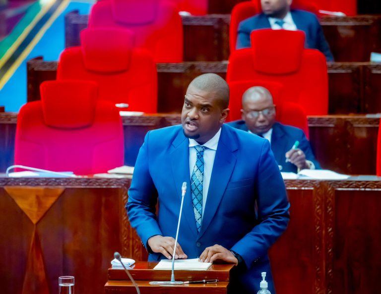 BUNGE LAPITISHA ZAIDI YA SHILINGI BILIONI 164.1 SEKTA YA ARDHI