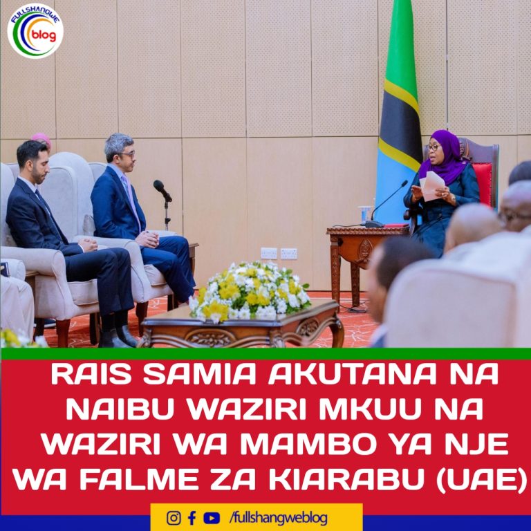 RAIS SAMIA AKUTANA NA NAIBU WAZIRI MKUU NA WAZIRI WA MAMBO YA NJE WA FALME ZA KIARABU (UAE)