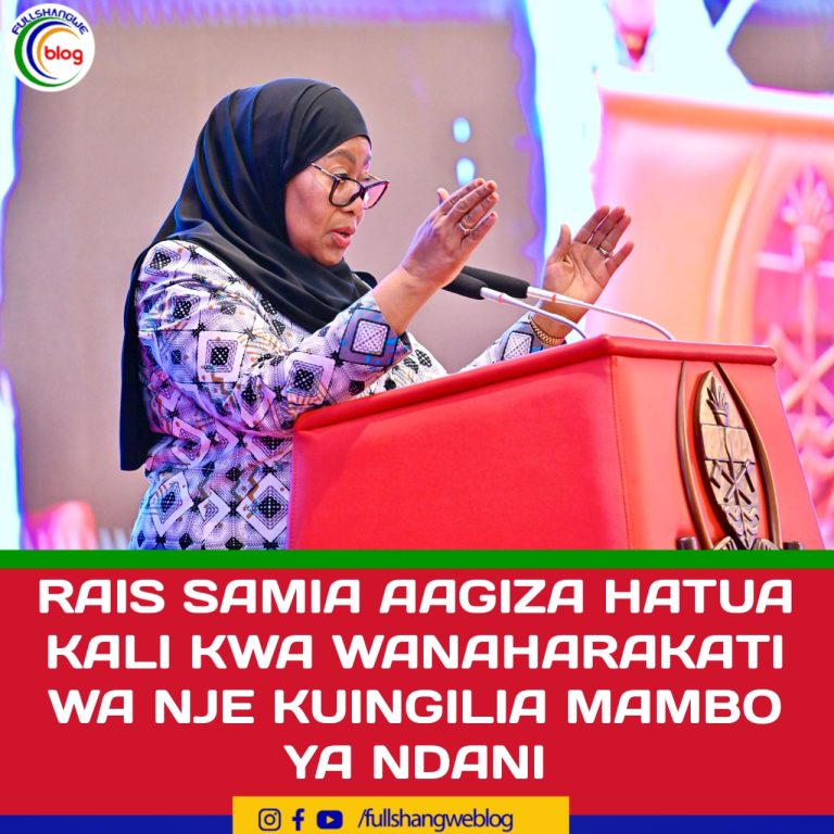 RAIS SAMIA AAGIZA HATUA KALI KWA WANAHARAKATI WA NJE KUINGILIA MAMBO YA NDANI