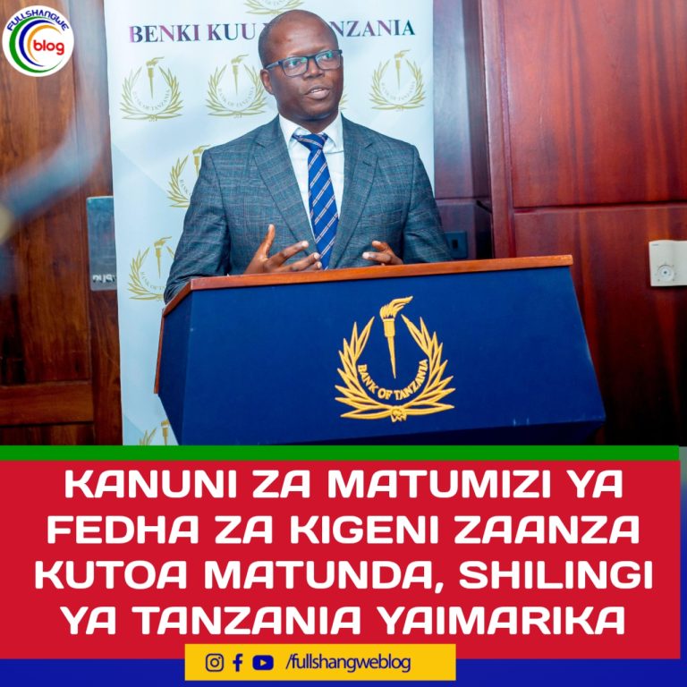 KANUNI ZA MATUMIZI YA FEDHA ZA KIGENI ZAANZA KUTOA MATUNDA, SHILINGI YA TANZANIA YAIMARIKA