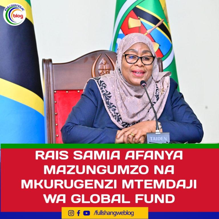 RAIS SAMIA AFANYA MAZUNGUMZO NA MKURUGENZI MTENDAJI  WA GLOBAL FUND
