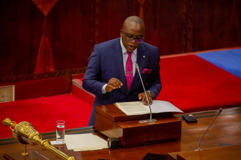 BUNGE LAPITISHA KWA KISHINDO BAJETI YA MADINI TSH BILIONI 224.98 KWA MWAKA 2025/2026*