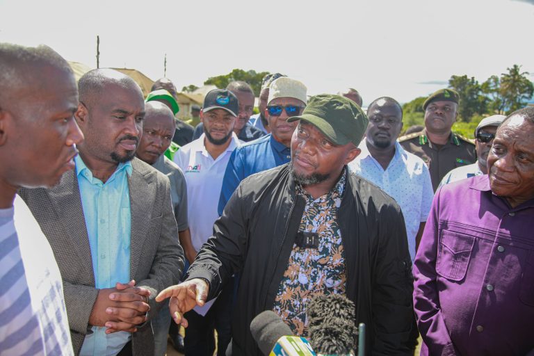 BARABARA KOROFI YA MABOGINI – KAHE KUJENGWA KWA LAMI- MHE MCHENGERWA